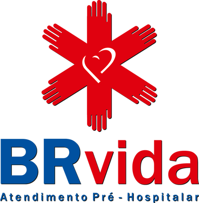 BR Vida Logo